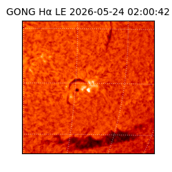 gong - 2026-05-24T02:00:42