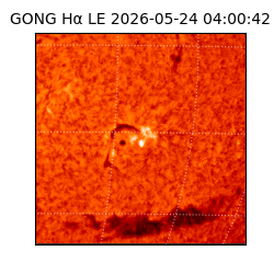 gong - 2026-05-24T04:00:42