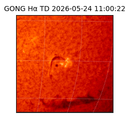 gong - 2026-05-24T11:00:22