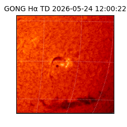 gong - 2026-05-24T12:00:22