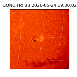 gong - 2026-05-24T19:00:02