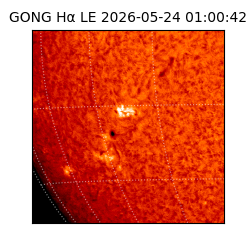 gong - 2026-05-24T01:00:42