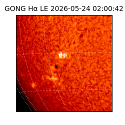 gong - 2026-05-24T02:00:42