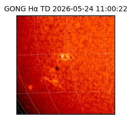 gong - 2026-05-24T11:00:22