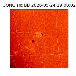 gong - 2026-05-24T19:00:02