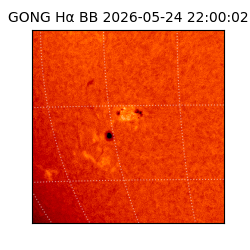 gong - 2026-05-24T22:00:02