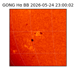 gong - 2026-05-24T23:00:02