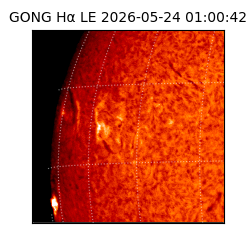 gong - 2026-05-24T01:00:42