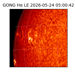 gong - 2026-05-24T05:00:42