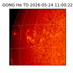 gong - 2026-05-24T11:00:22