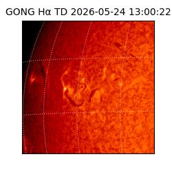 gong - 2026-05-24T13:00:22