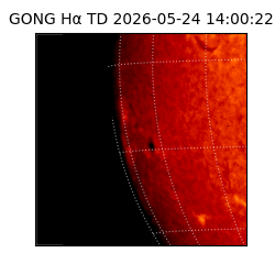 gong - 2026-05-24T14:00:22