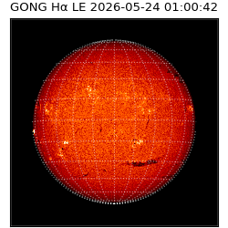 gong - 2026-05-24T01:00:42