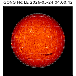 gong - 2026-05-24T04:00:42