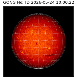 gong - 2026-05-24T10:00:22