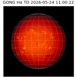 gong - 2026-05-24T11:00:22