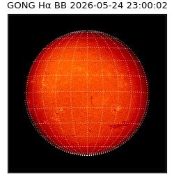 gong - 2026-05-24T23:00:02