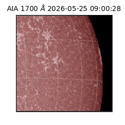 saia - 2026-05-25T09:00:28.720000