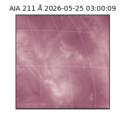 saia - 2026-05-25T03:00:09.623000