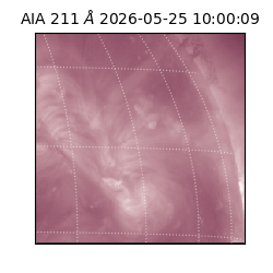 saia - 2026-05-25T10:00:09.623000