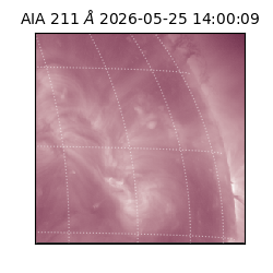 saia - 2026-05-25T14:00:09.623000
