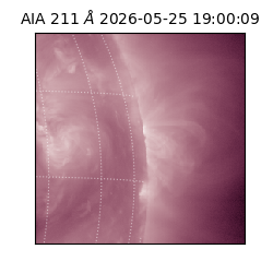 saia - 2026-05-25T19:00:09.622000
