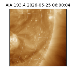 saia - 2026-05-25T06:00:04.842000