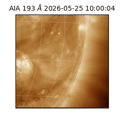 saia - 2026-05-25T10:00:04.842000