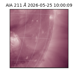 saia - 2026-05-25T10:00:09.623000