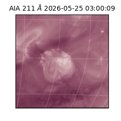 saia - 2026-05-25T03:00:09.623000