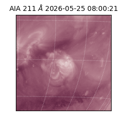 saia - 2026-05-25T08:00:21.623000