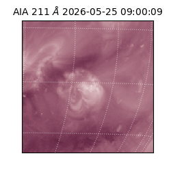 saia - 2026-05-25T09:00:09.621000