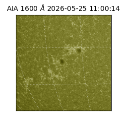 saia - 2026-05-25T11:00:14.123000