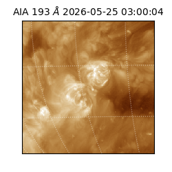 saia - 2026-05-25T03:00:04.842000