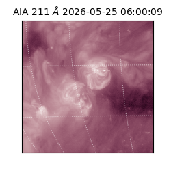 saia - 2026-05-25T06:00:09.624000