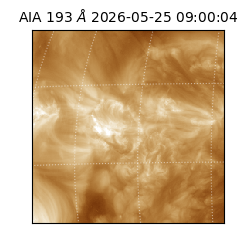 saia - 2026-05-25T09:00:04.842000