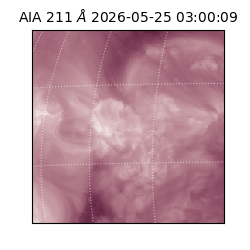 saia - 2026-05-25T03:00:09.623000