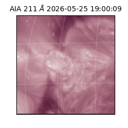 saia - 2026-05-25T19:00:09.622000
