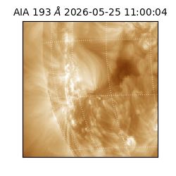 saia - 2026-05-25T11:00:04.842000