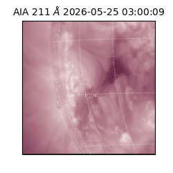 saia - 2026-05-25T03:00:09.623000