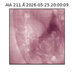 saia - 2026-05-25T20:00:09.620000