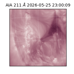 saia - 2026-05-25T23:00:09.631000