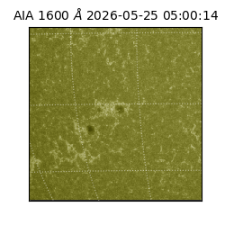 saia - 2026-05-25T05:00:14.123000