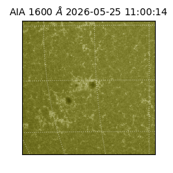 saia - 2026-05-25T11:00:14.123000