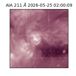 saia - 2026-05-25T02:00:09.622000