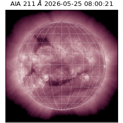 saia - 2026-05-25T08:00:21.623000