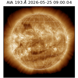 saia - 2026-05-25T09:00:04.842000