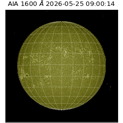 saia - 2026-05-25T09:00:14.123000