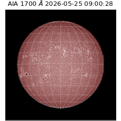 saia - 2026-05-25T09:00:28.720000
