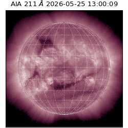 saia - 2026-05-25T13:00:09.623000